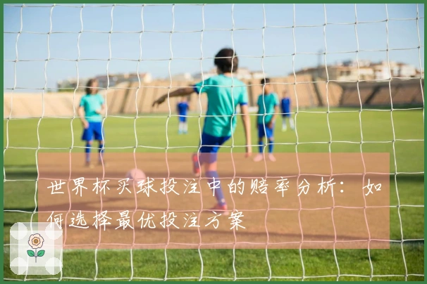 世界杯买球投注中的赔率分析：如何选择最优投注方案