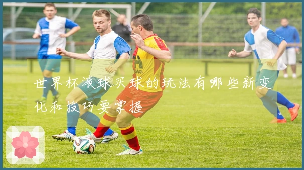 世界杯滚球买球的玩法有哪些新变化和技巧要掌握