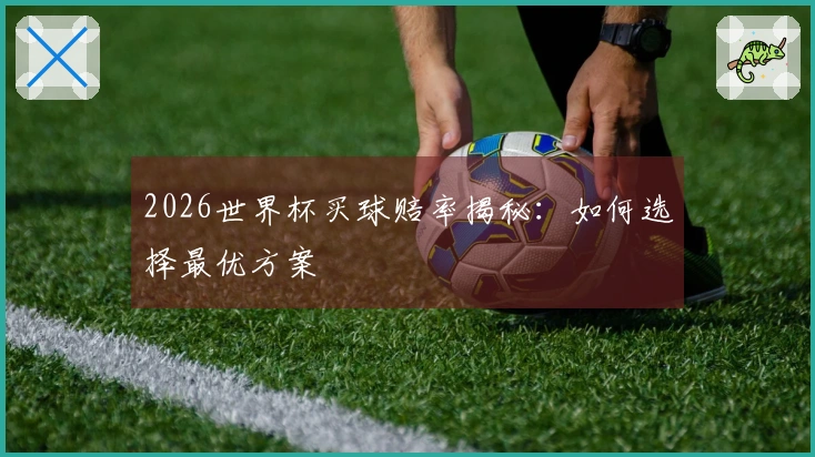 2026世界杯买球赔率揭秘：如何选择最优方案