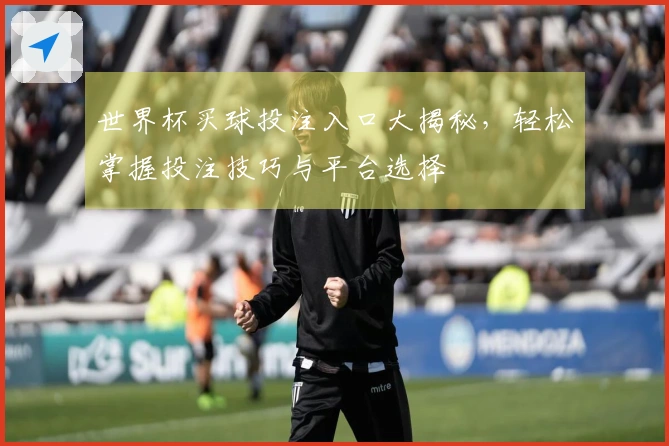 世界杯买球投注入口大揭秘，轻松掌握投注技巧与平台选择